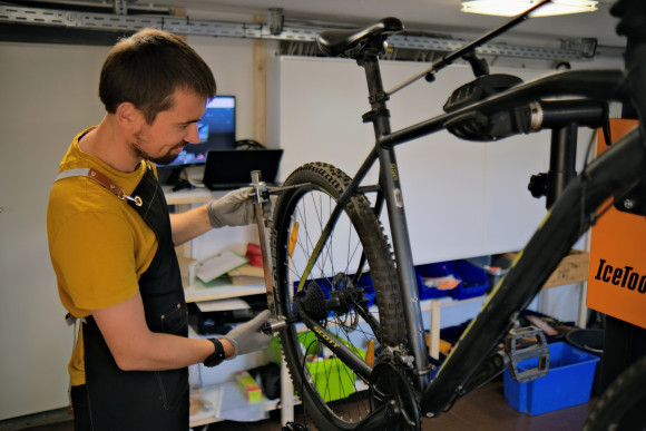 Große Inspektion / Service